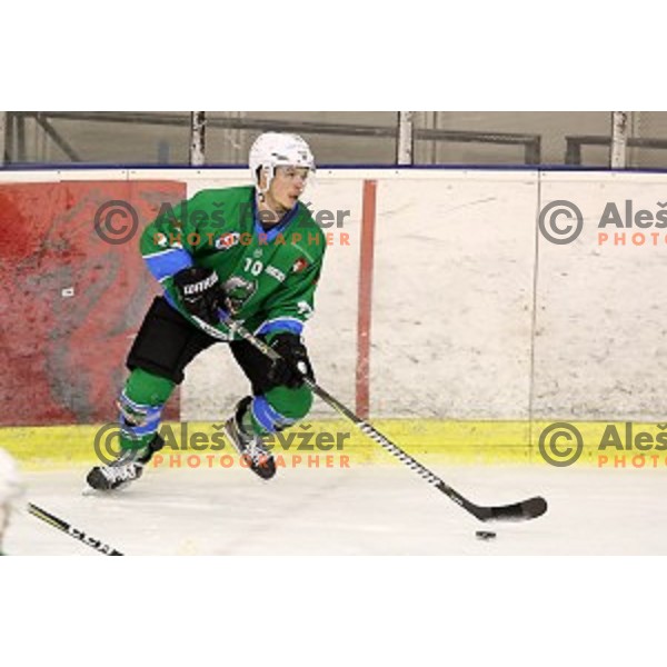 Aljaz Uduc of SZ Olimpija in action during Alps League ice-hockey match between SZ Olimpija and Asiago in Tivoli Hall, Ljubljana, Slovenia on November 29, 2017