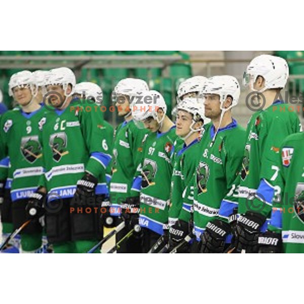 of SZ Olimpija in action during Alps League ice-hockey match between SZ Olimpija and Asiago in Tivoli Hall, Ljubljana, Slovenia on November 29, 2017