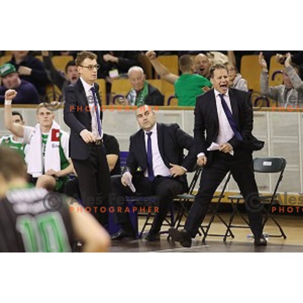 of Petrol Olimpija in action during ABA league basketball match between Petrol Olimpija and FMP in Tivoli Hall, Ljubljana on December 3, 2017