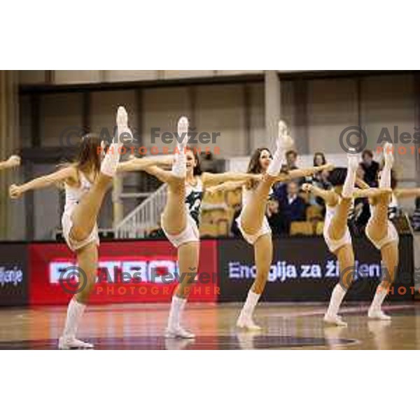 of Petrol Olimpija in action during FIBA Champions League basketball match between Petrol Olimpija and Rosa Radom in Tivoli Hall, Ljubljana on December 5, 2017