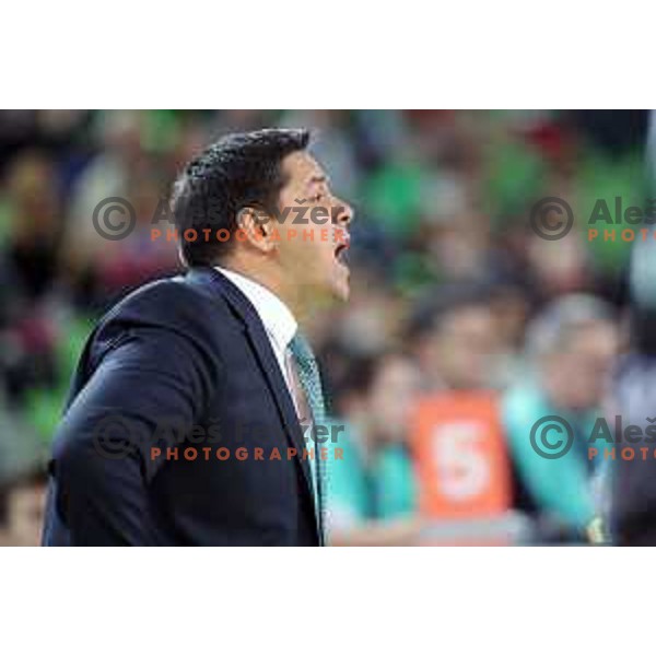Saso Filipovski, head coach of Banvit Bandirma during FIBA Champions League basketball match between Petrol Olimpija and Banvit Bandirma in Stozice Hall, Ljubljana on December 19, 2017