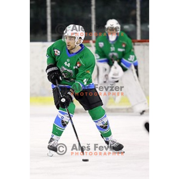 Maks Selan of SZ Olimpija in action during Alps League ice-hockey match between SZ Olimpija and Kitzbuhel in Tivoli Hall, Ljubljana, Slovenia on December 20, 2017