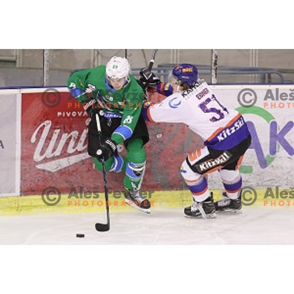 Miha Zajc of SZ Olimpija in action during Alps League ice-hockey match between SZ Olimpija and Kitzbuhel in Tivoli Hall, Ljubljana, Slovenia on December 20, 2017