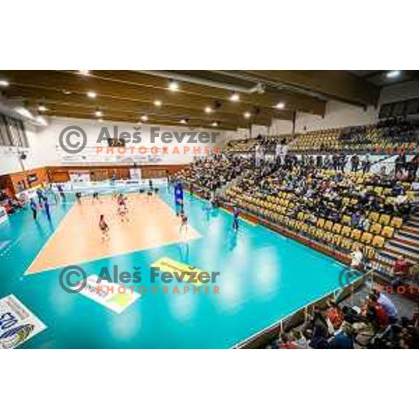 VSD Hoce during Slovenia Cup 2017/18 volleyball match between Nova KBM Branik and Calcit Volleyball, played in Hoce, Slovenia on December 22, 2017