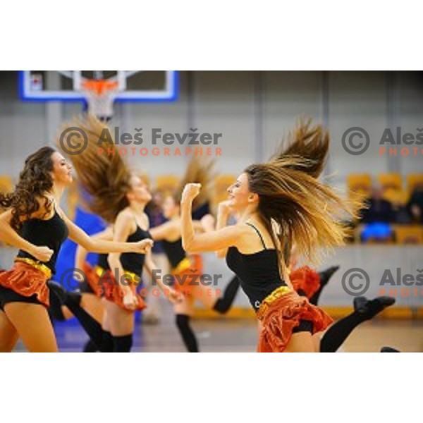 Zmajcice- Dragon Ladies of Petrol Olimpija in action during ABA league basketball match between Petrol Olimpija and Cibona in Tivoli Hall, Ljubljana on December 23, 2017