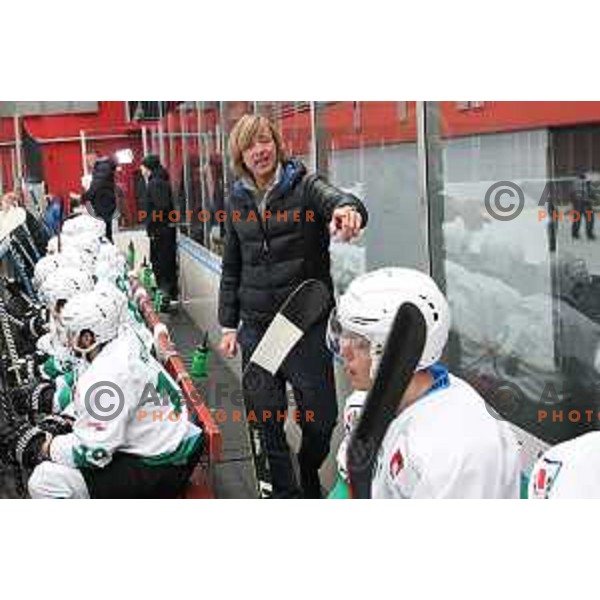 Andrej Brodnik, head caoch of SZ Olimpija during Alps League ice-hockey match between SIJ Acroni Jesenice and SZ Olimpija in Podmezakla Hall, Jesenice, Slovenia on December 30, 2017