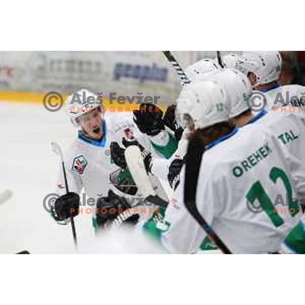 Andraz Zibelnik of SZ Olimpija during Alps League ice-hockey match between SIJ Acroni Jesenice and SZ Olimpija in Podmezakla Hall, Jesenice, Slovenia on December 30, 2017