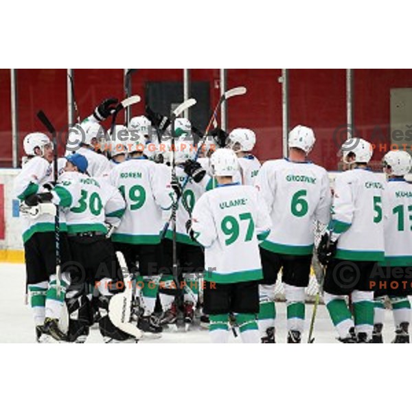 action during Alps League ice-hockey match between SIJ Acroni Jesenice and SZ Olimpija in Podmezakla Hall, Jesenice, Slovenia on December 30, 2017