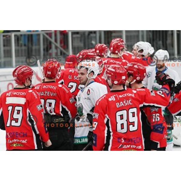 Miha Pesjak during Alps League ice-hockey match between SIJ Acroni Jesenice and SZ Olimpija in Podmezakla Hall, Jesenice, Slovenia on December 30, 2017