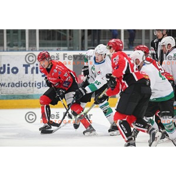 Gasper Glavic of SIJ Acroni Jesenice during Alps League ice-hockey match between SIJ Acroni Jesenice and SZ Olimpija in Podmezakla Hall, Jesenice, Slovenia on December 30, 2017