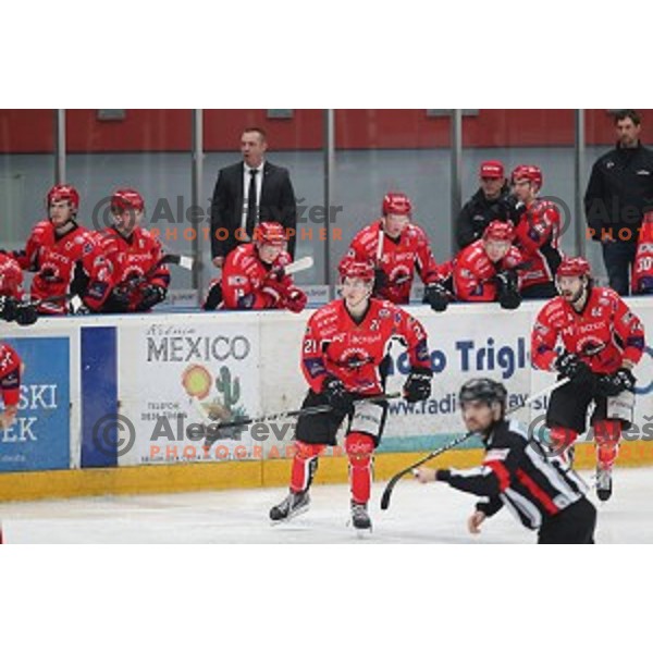 Gasper Korosec and David Planko in action during Alps League ice-hockey match between SIJ Acroni Jesenice and SZ Olimpija in Podmezakla Hall, Jesenice, Slovenia on December 30, 2017