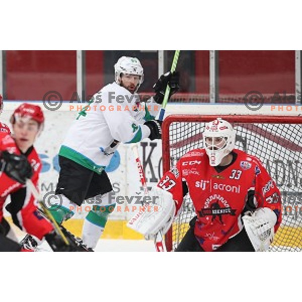 Andrej Hebar and Clarke Saunders of SIJ Acroni Jesenice during Alps League ice-hockey match between SIJ Acroni Jesenice and SZ Olimpija in Podmezakla Hall, Jesenice, Slovenia on December 30, 2017