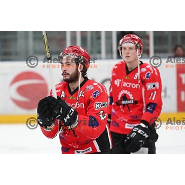David Planko during Alps League ice-hockey match between SIJ Acroni Jesenice and SZ Olimpija in Podmezakla Hall, Jesenice, Slovenia on December 30, 2017