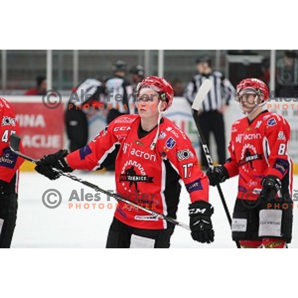 Miha Logar during Alps League ice-hockey match between SIJ Acroni Jesenice and SZ Olimpija in Podmezakla Hall, Jesenice, Slovenia on December 30, 2017