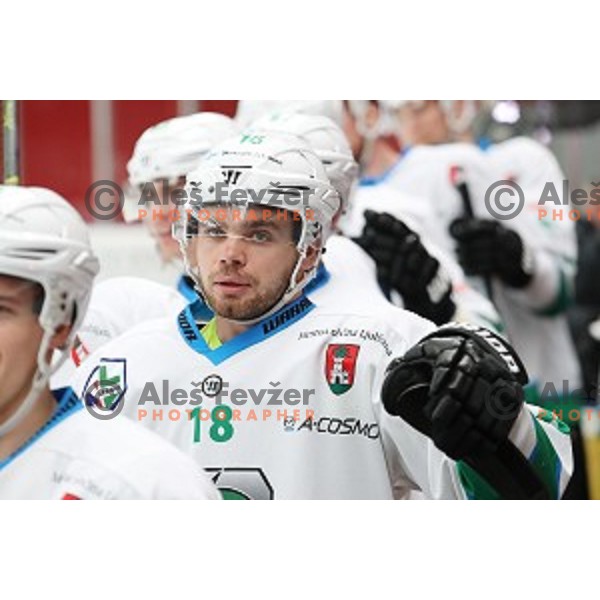 Miha Pesjak during Alps League ice-hockey match between SIJ Acroni Jesenice and SZ Olimpija in Podmezakla Hall, Jesenice, Slovenia on December 30, 2017