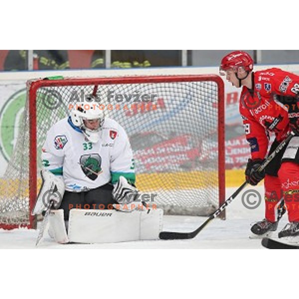 Robert Kristan of SZ Olimpija during Alps League ice-hockey match between SIJ Acroni Jesenice and SZ Olimpija in Podmezakla Hall, Jesenice, Slovenia on December 30, 2017