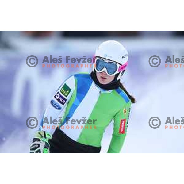 Free practice session on Vitranc slope before 54 Golden fox - Zlata lisica AUDI FIS Ski World Cup in Kranjska gora, Slovenia on January 5, 2018