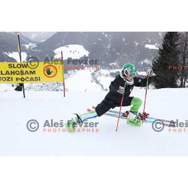 Tina Robnik at Course inspection before 54. Golden Fox- Zlata lisica AUDI FIS Ski World Cup giant slalom in Kranjska gora, Slovenia on January 6, 2018