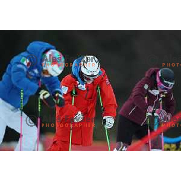 Course inspection before 54. Golden Fox- Zlata lisica AUDI FIS Ski World Cup giant slalom in Kranjska gora, Slovenia on January 6, 2018