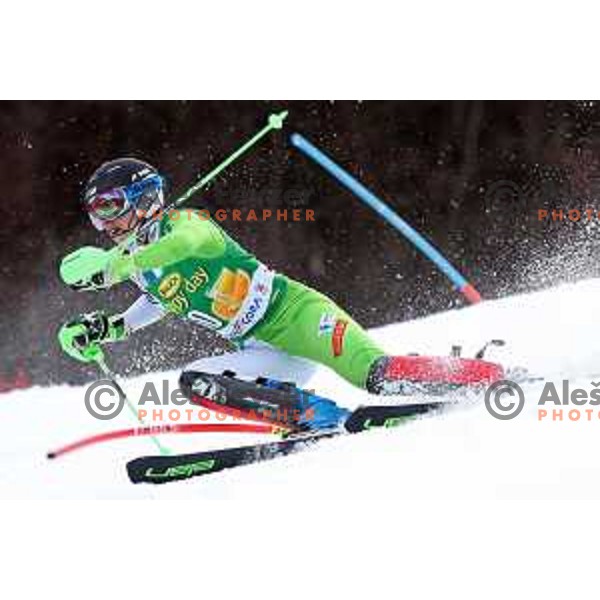 54. Golden Fox- Zlata lisica AUDI FIS Ski World Cup slalom in Kranjska gora, Slovenia on January 7, 2018