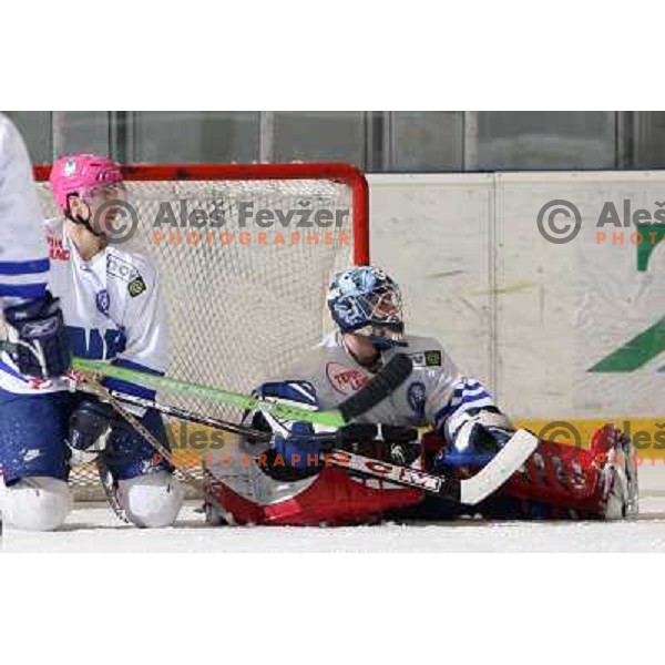 Ulcar Anže, goalie of Medvešcak