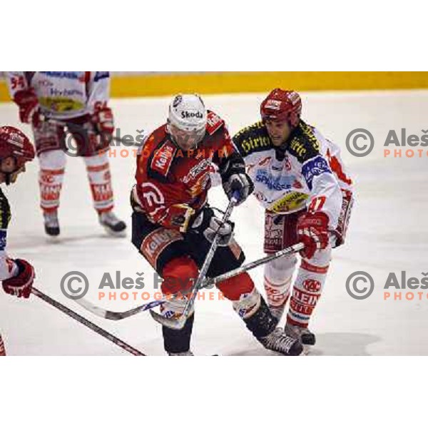 Healey at ice-hockey game Acroni Jesenice-KAC in Ebel league,played in Podmezakla, Jesenice, Slovenia 18.12.2007.KAC won after penalty shot-out 2:1. Photo by Ales Fevzer 
