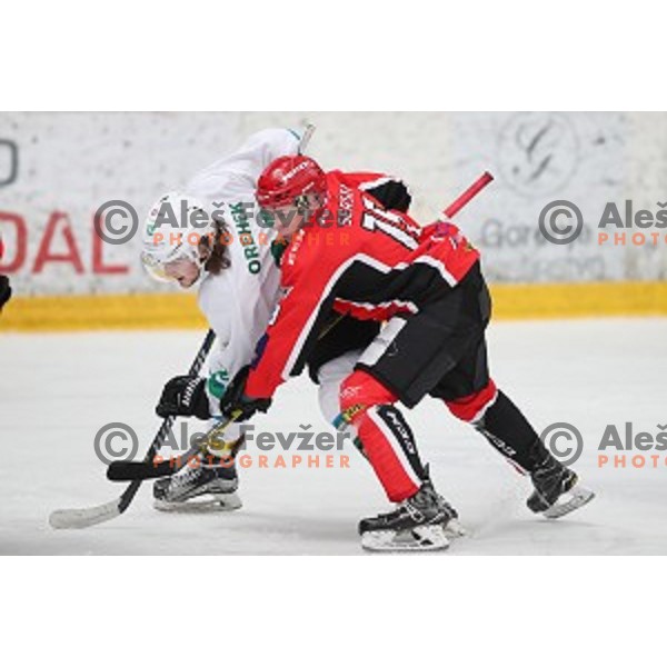 action during Alps League ice-hockey match between SIJ Acroni Jesenice and SZ Olimpija in Podmezakla Hall, Jesenice, Slovenia on January 13, 2018