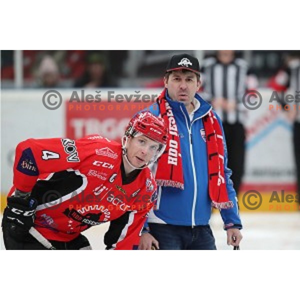 Andrej Tavzelj and Ales Noc during Alps League ice-hockey match between SIJ Acroni Jesenice and SZ Olimpija in Podmezakla Hall, Jesenice, Slovenia on January 13, 2018