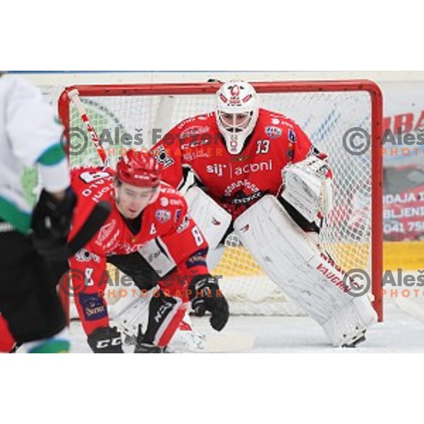 Clarke Saunders in action during Alps League ice-hockey match between SIJ Acroni Jesenice and SZ Olimpija in Podmezakla Hall, Jesenice, Slovenia on January 13, 2018