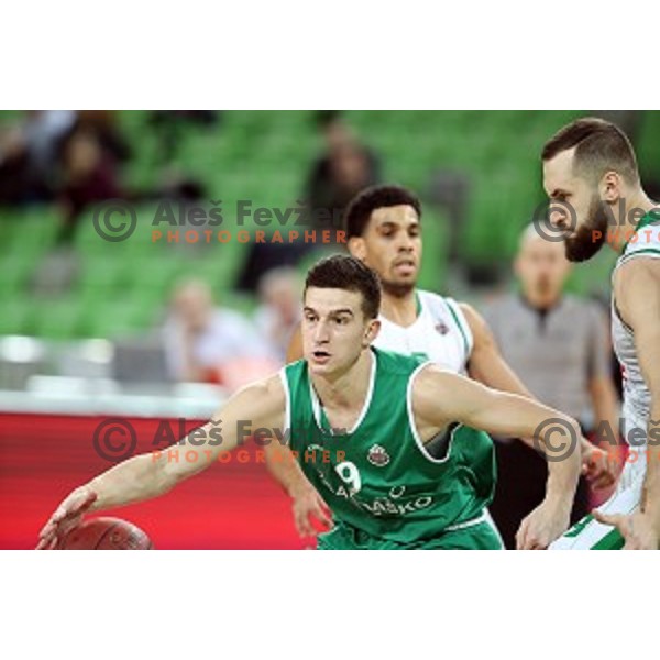 action during Nova KBM league basketball match between Petrol Olimpija and Zlatorog Lasko in Stozice, Ljubljana, Slovenia on January 15, 2018