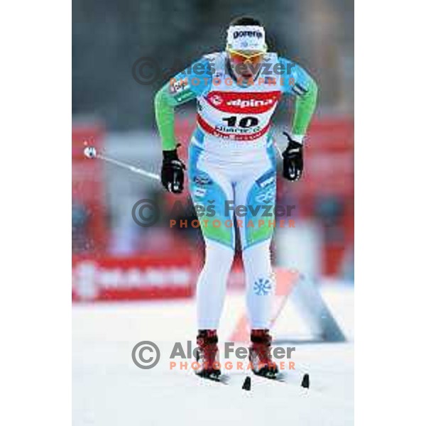 Vesna Fabjan (SLO) racing in qualifiaction of Ladies 1.4 km Sprint Classic FIS Cross-Country World Cup in Planica, Slovenia on January 20, 2018
