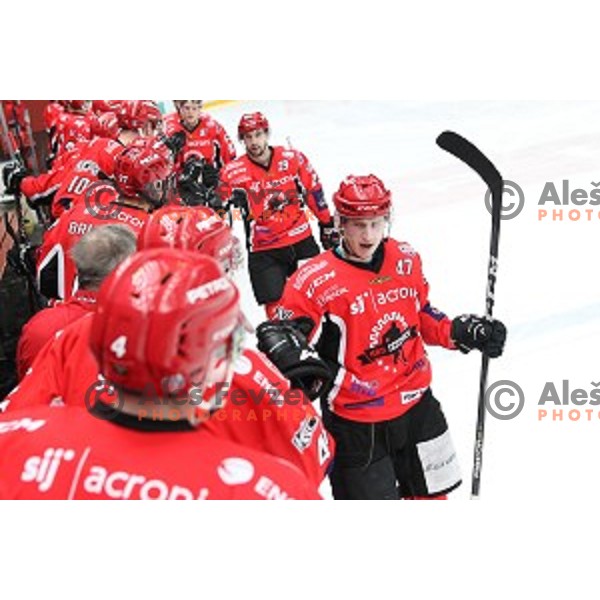 action during Alps League ice-hockey match between SIJ Acroni Jesenice and SZ Olimpija in Podmezakla Hall, Jesenice, Slovenia on January 13, 2018