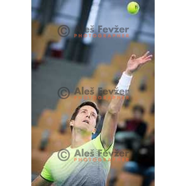 Aljaz Bedene of Slovenia during Davis Cup 2018 between Slovenia and Poland, played in Lukna, Maribor, Slovenia on February 3, 2018