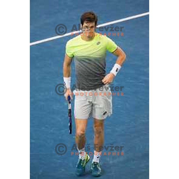 Aljaz Bedene of Slovenia during Davis Cup 2018 between Slovenia and Poland, played in Lukna, Maribor, Slovenia on February 3, 2018
