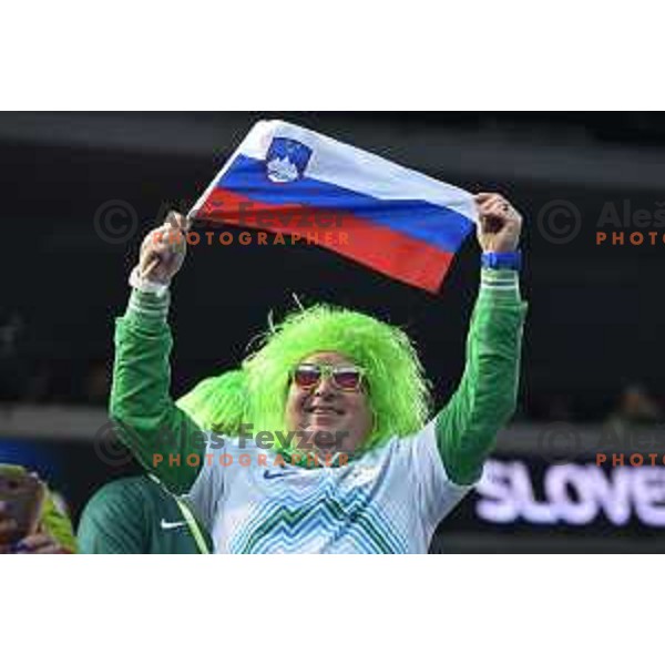 Fan of Slovenia in action during futsal match between Slovenia and Serbia at UEFA Futsal Euro 2018 in Stozice, Ljubljana on January 30, 2018