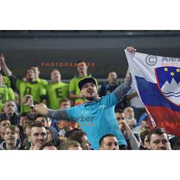Fans of Slovenia in action during futsal match between Slovenia and Serbia at UEFA Futsal Euro 2018 in Stozice, Ljubljana on January 30, 2018