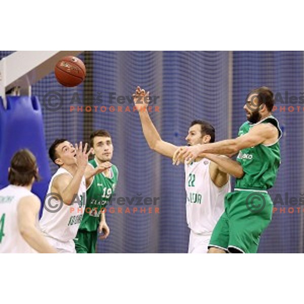 Milos Miljkovic of Zlatorog during Nova KBM league basketball match between Ilirija and Zlatorog Lasko in Tivoli Hall, Ljubljana, Slovenia on February 4, 2018