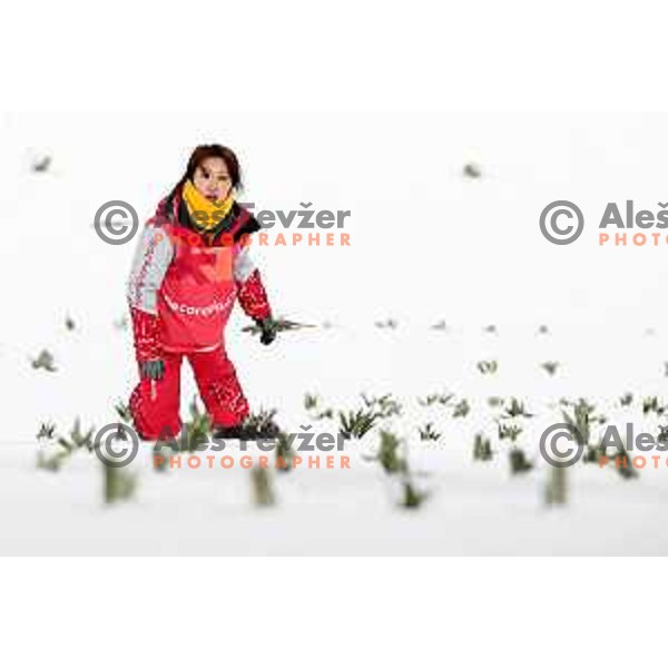 Decoration team at Ski jumping Men\'s Normal Hill Individual Qaulification during PyeongChang 2018 Winter Olympic Games, South Korea on February 8, 2018