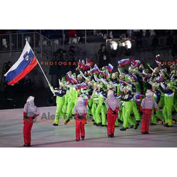 Cross country skier Vesna Fabjan, flag bearer of Team Slovenia at Opening Ceremony of PyeongChang 2018 Winter Olympic Games, South Korea on February 9, 2018