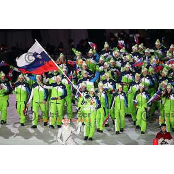 Cross country skier Vesna Fabjan, flag bearer of Team Slovenia at Opening Ceremony of PyeongChang 2018 Winter Olympic Games, South Korea on February 9, 2018
