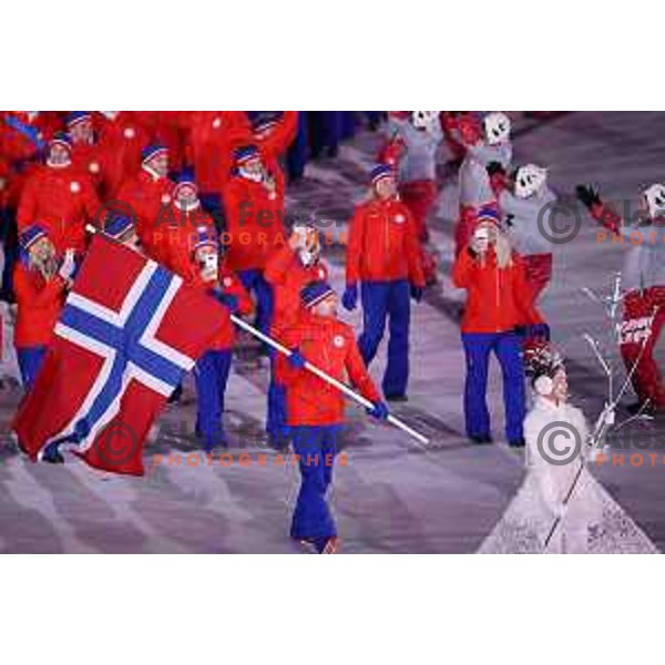 Opening Ceremony of PyeongChang 2018 Winter Olympic Games, South Korea on February 9, 2018