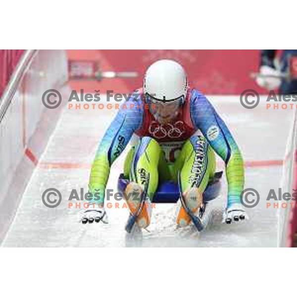 Tilen Sirse (SLO) competing in Luge at Sliding centre during PyeongChang 2018 Winter Olympic Games, South Korea on February 10, 2018