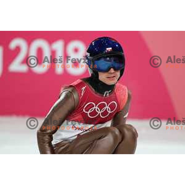 Kamil Stoch (POL) at Ski jumping Normal hill comptition during PyeongChang 2018 Winter Olympic Games, South Korea on February 10, 2018