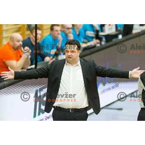 Damir Grgic, head coach of team Slovenia during Women’s EuroBasket 2019 Qualifiers basketball match between Slovenia and France, played in Arena Gimnazija Celje-Center, Celje, Slovenia on Februry 10, 2018