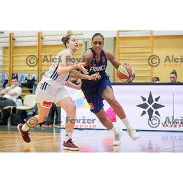 Sandrine Gruda of team France in action during Women’s EuroBasket 2019 Qualifiers basketball match between Slovenia and France, played in Arena Gimnazija Celje-Center, Celje, Slovenia on Februry 10, 2018