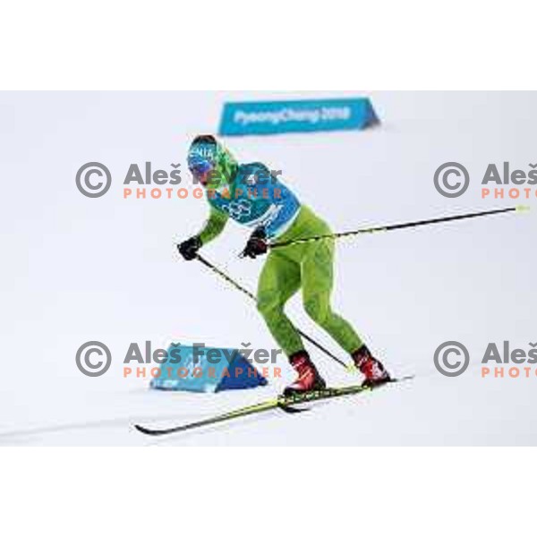 Alenka Cebasek (SLO) at Cross-country Ladies Sprint Classic Qualification during PyeongChang 2018 Winter Olympic Games, South Korea on February 13, 2018