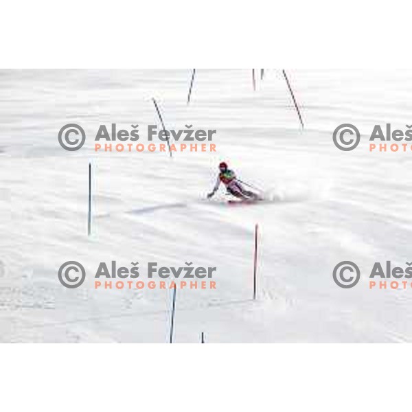 Marcel Hirscher (AUT), Olympic champion in Alpine Combined at Jeongseon Alpine Centre during PyeongChang 2018 Winter Olympic Games, South Korea on February 13, 2018