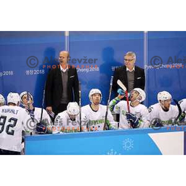  in action during Olympic Ice-hockey tournament match between USA and Slovenia during PyeongChang 2018 Winter Olympic Games, South Korea on February 14, 2018