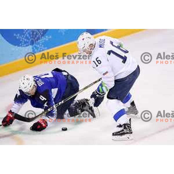  in action during Olympic Ice-hockey tournament match between USA and Slovenia during PyeongChang 2018 Winter Olympic Games, South Korea on February 14, 2018