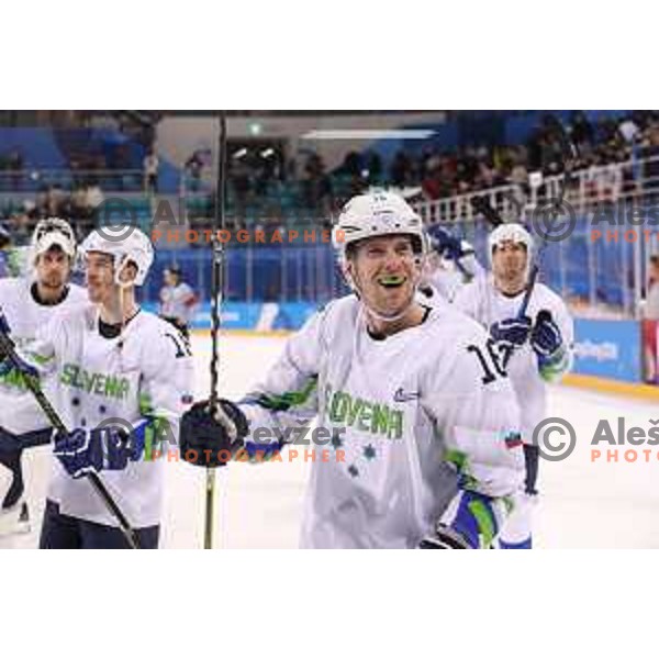 Ales Music in action during Olympic Ice-hockey tournament match between USA and Slovenia during PyeongChang 2018 Winter Olympic Games, South Korea on February 14, 2018